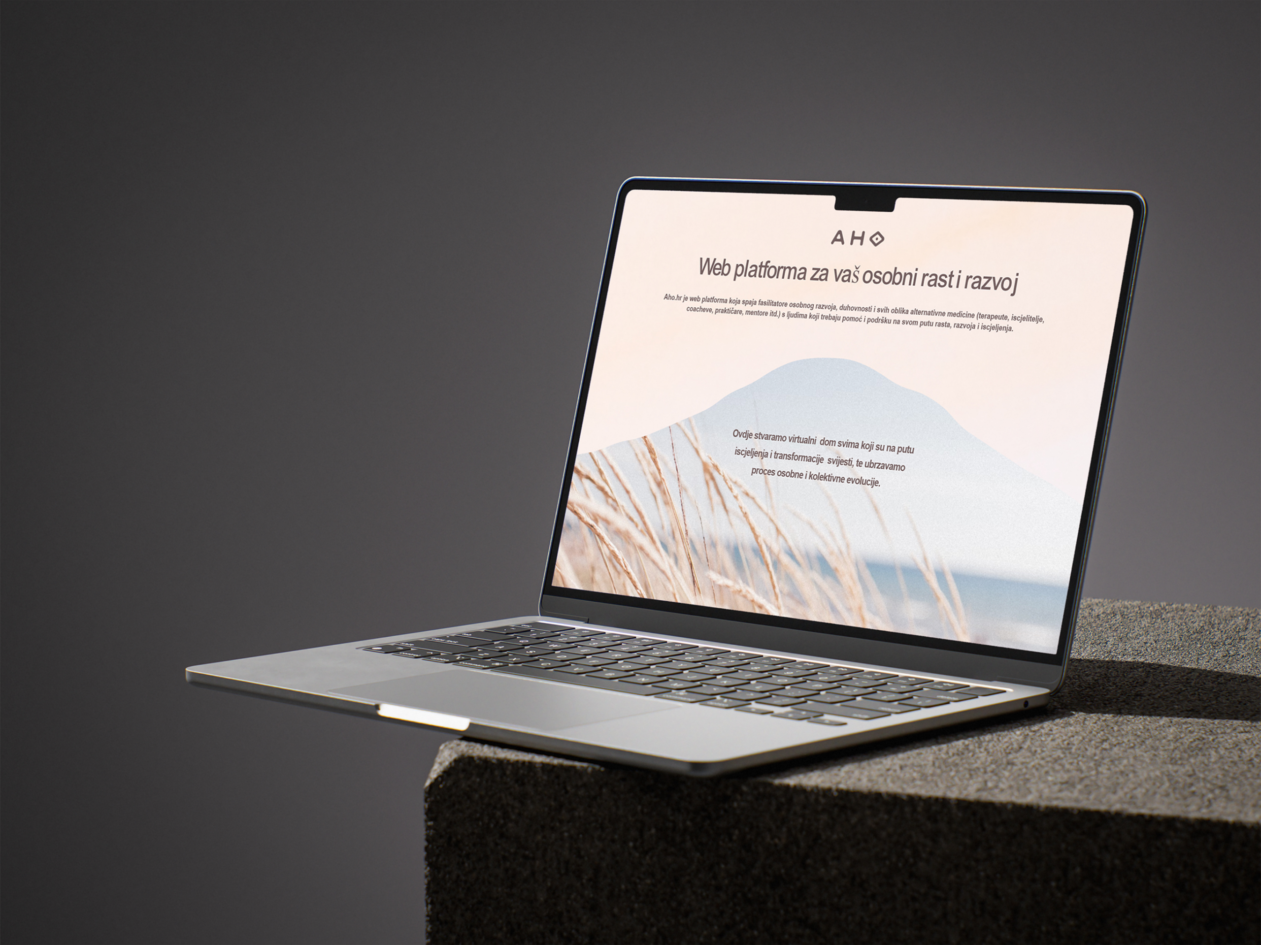 Izrada crowdfunding platforme za AHO – članstva, trgovina i podrška za osobni rast